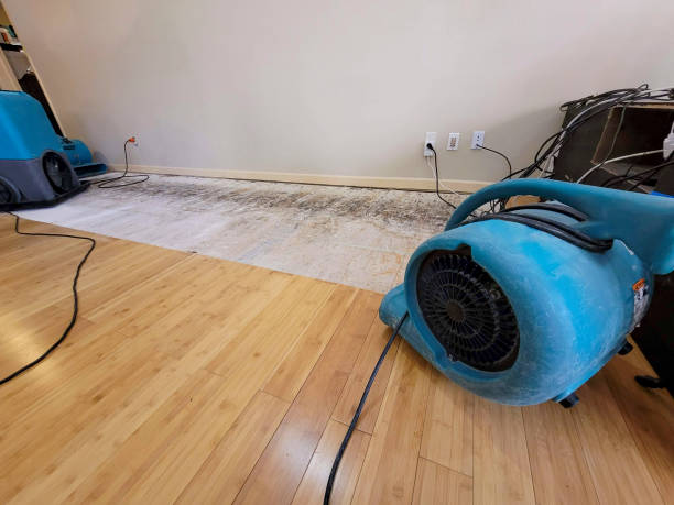 Professional Flood Damage Cleanup technician working in Pahokee, FL